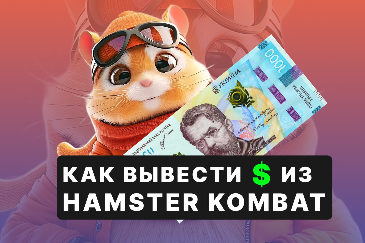 Букмекерская контора WOW BET